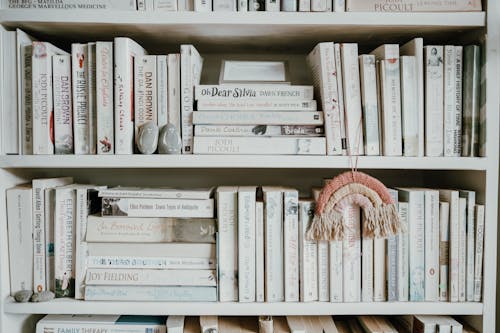 Gratis arkivbilde med bokhyller, bunke med bøker, litteratur