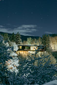 A beautifully illuminated house surrounded by snow-covered trees in Aspen, Colorado under a starry night sky.