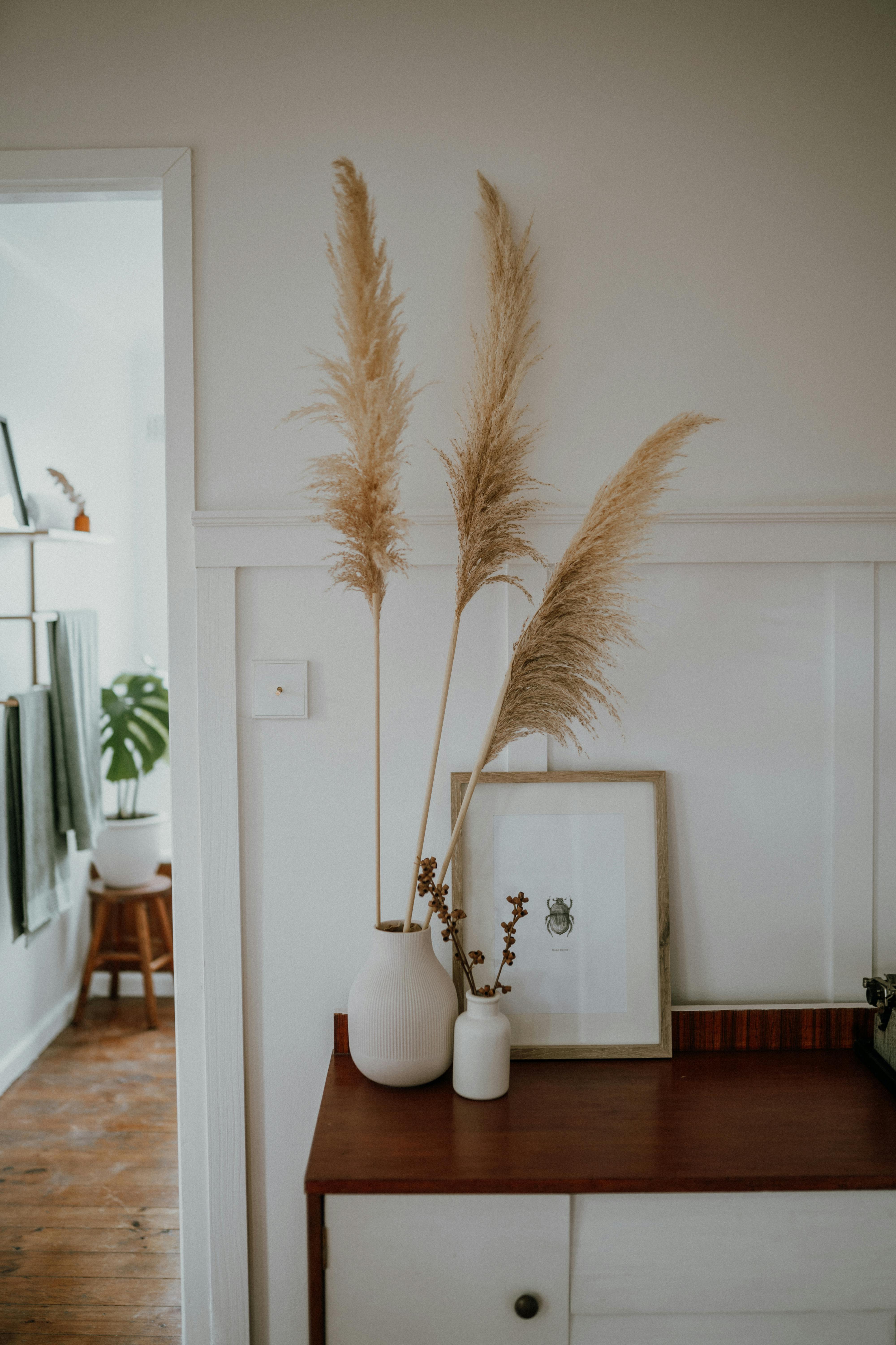 photo of pampas grass near a picture frame