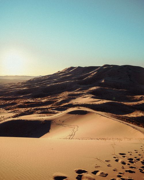 Free Expansive desert scene with golden sand dunes under a clear blue sky during daytime. Stock Photo