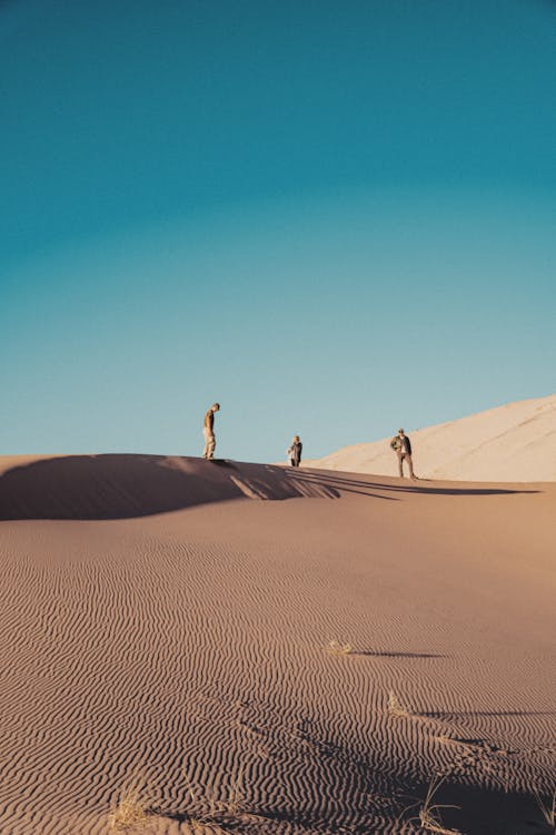 People Walking on the Desert