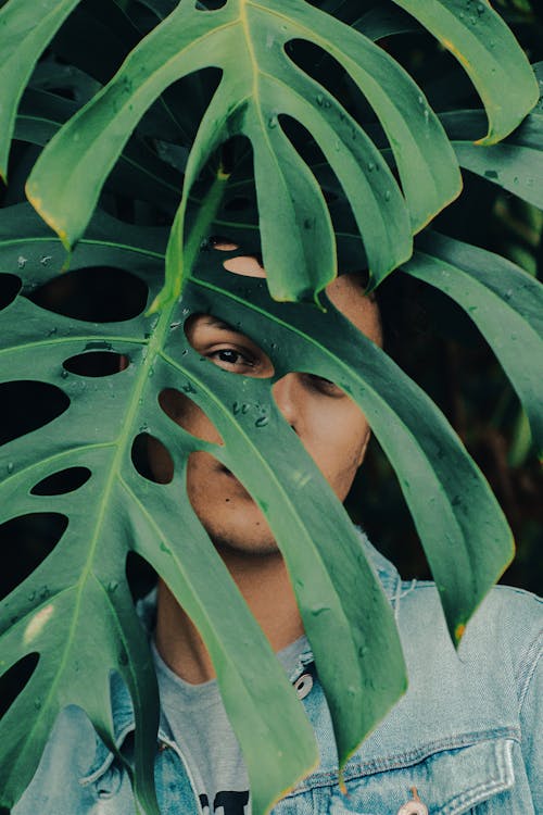 A Man Standing Under the Green Plant