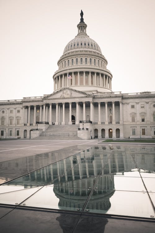 國會大廈, 垂直拍攝, 外觀設計 的 免費圖庫相片