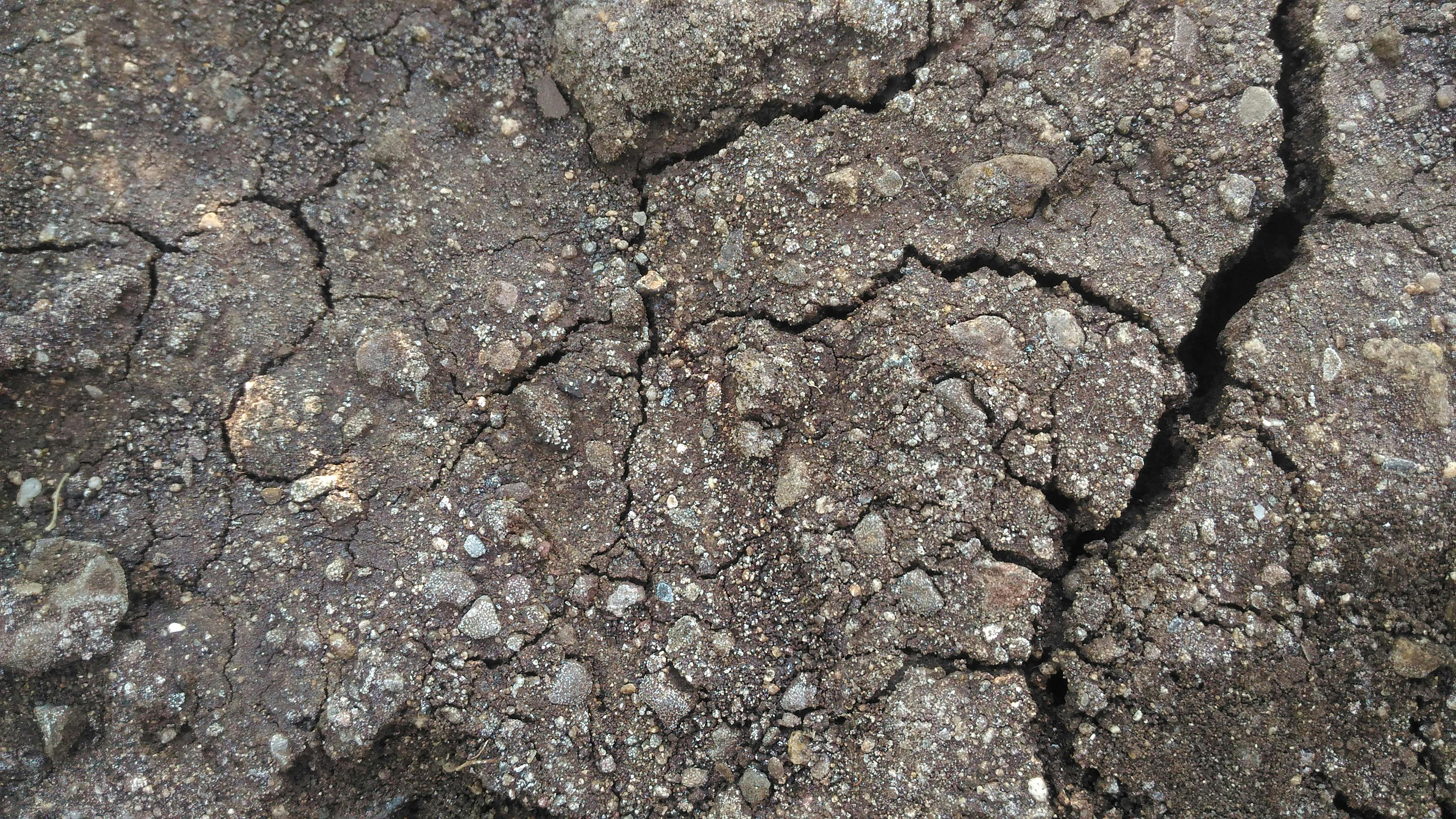 Free stock photo of carved stones, crackedland, farmland