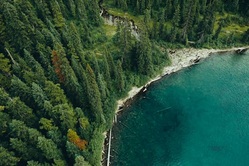 景觀, 水體, 無人空拍機 的 免費圖庫相片