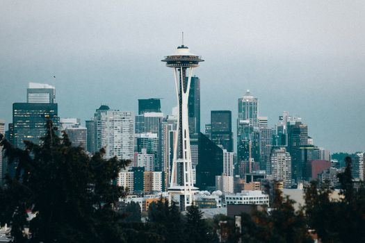 Coffee culture walk — independents — Seattle