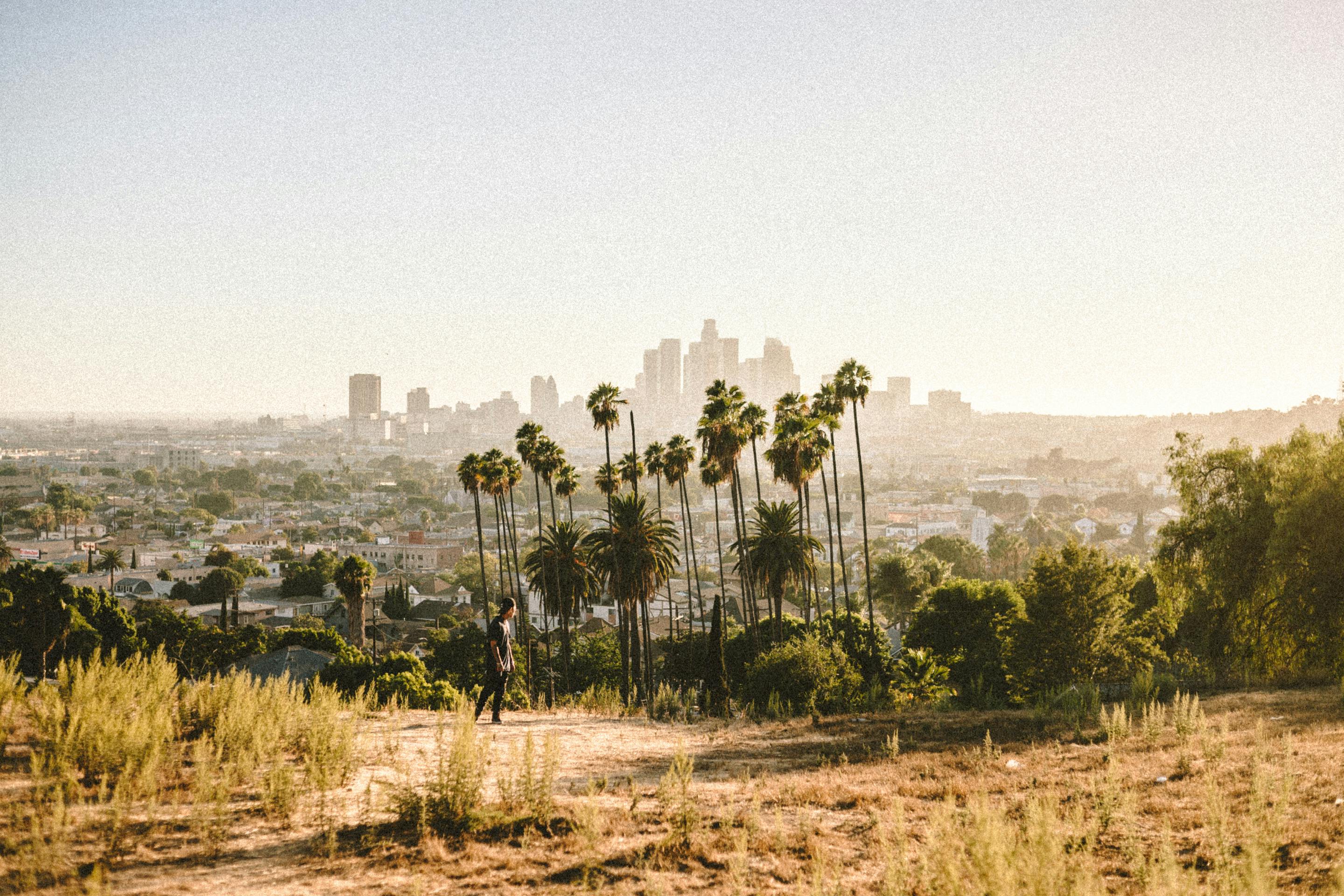 A scenic view of palm trees against the Los Angeles city skyline during a warm sunset.
