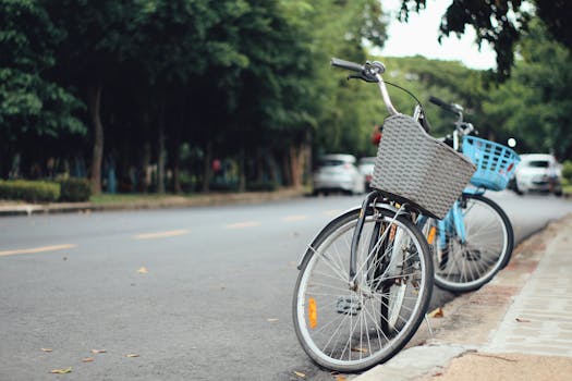 Two bicycles with baskets parked along a serene urban street, captured on a sunny day.