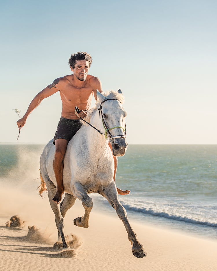 Man In Red Shirt Riding White Horse On Beach