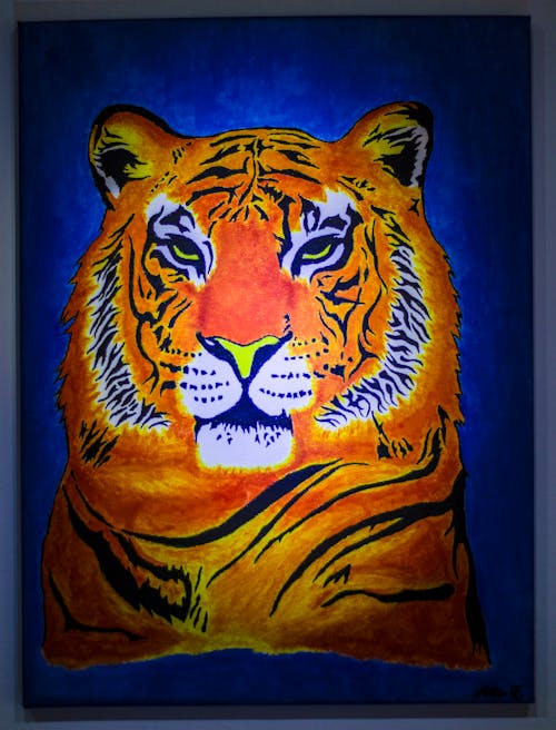 Fotobanka s bezplatnými fotkami na tému maľba, mystický, tiger