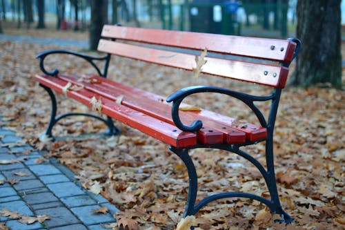 черно красная скамейка в парке возле серой бетонной дорожки