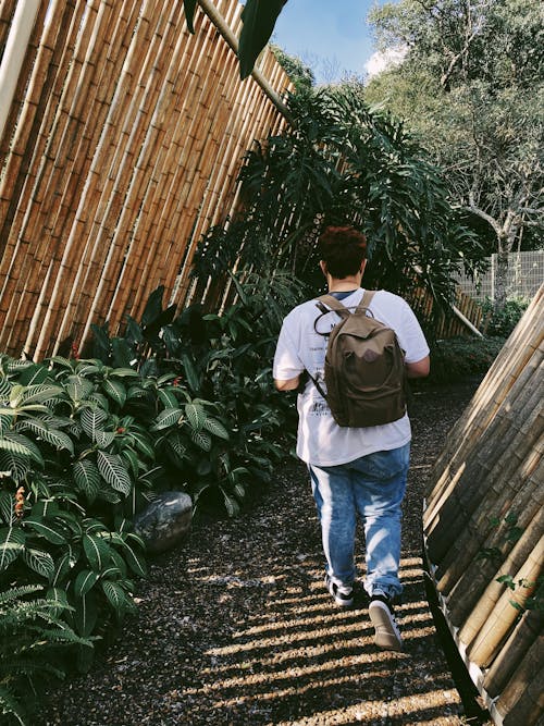 Backview of Person walking near Plants