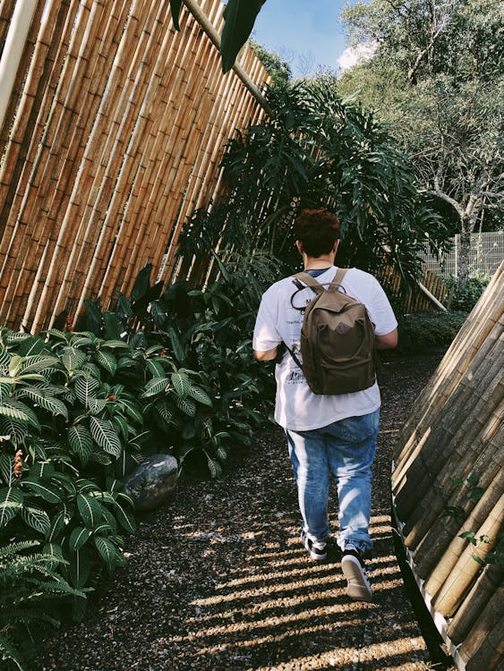 Backview of Person walking near Plants