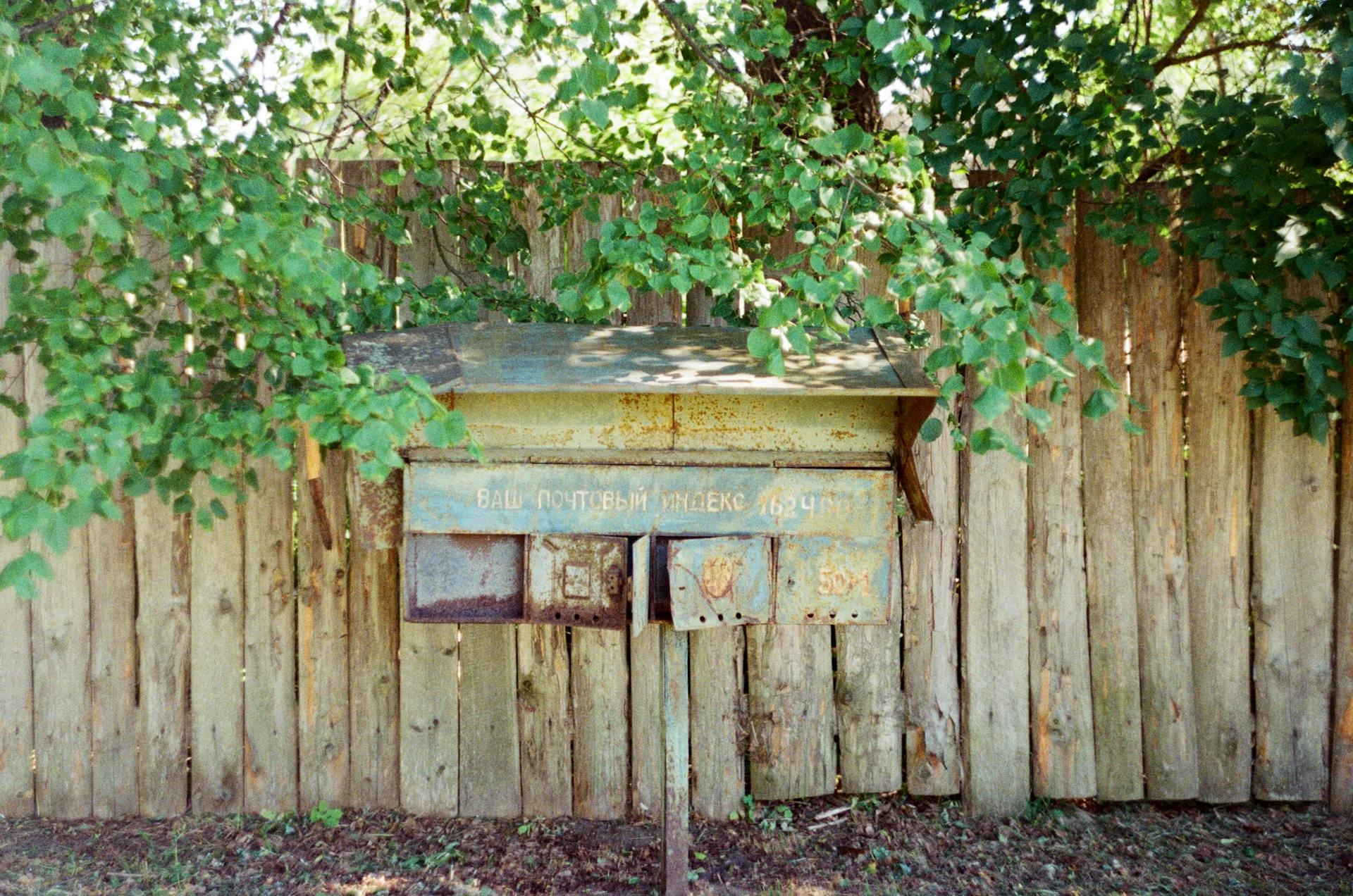 A vintage rusty mailbox surrounded by lush green leaves against a wooden fence outdoors.