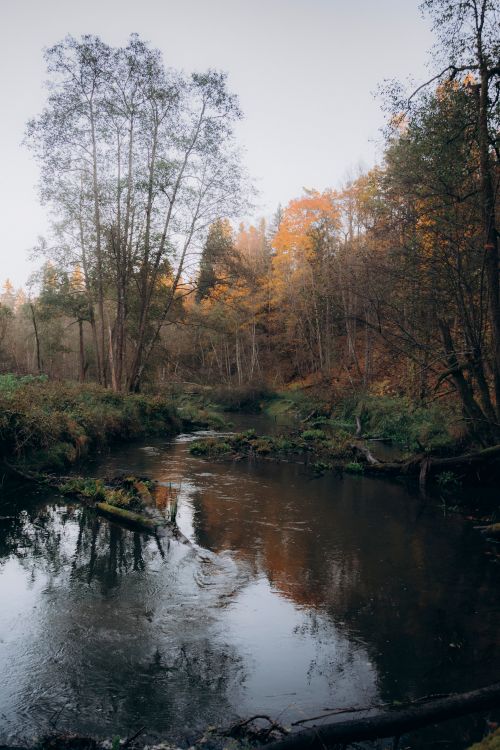 Free Serene autumn landscape with a calm river reflecting trees and fall colors. Stock Photo
