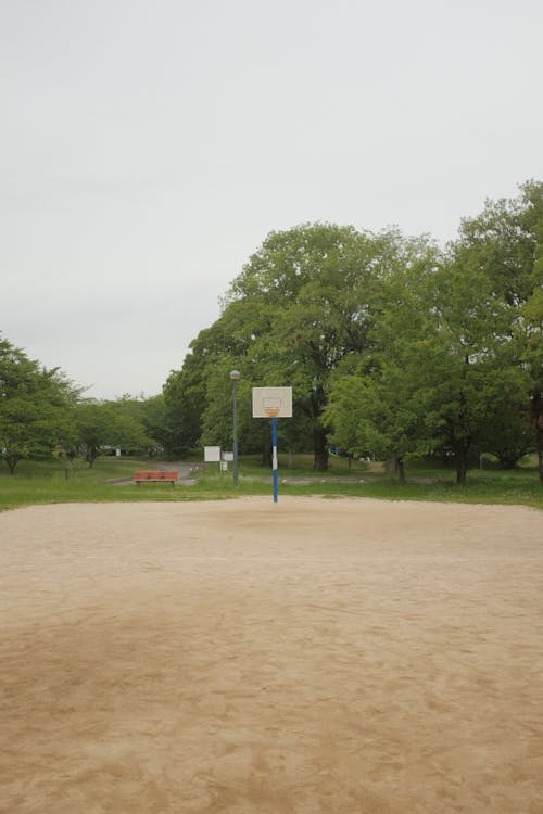 Gratis lagerfoto af bane, basketballbane, grønne træer