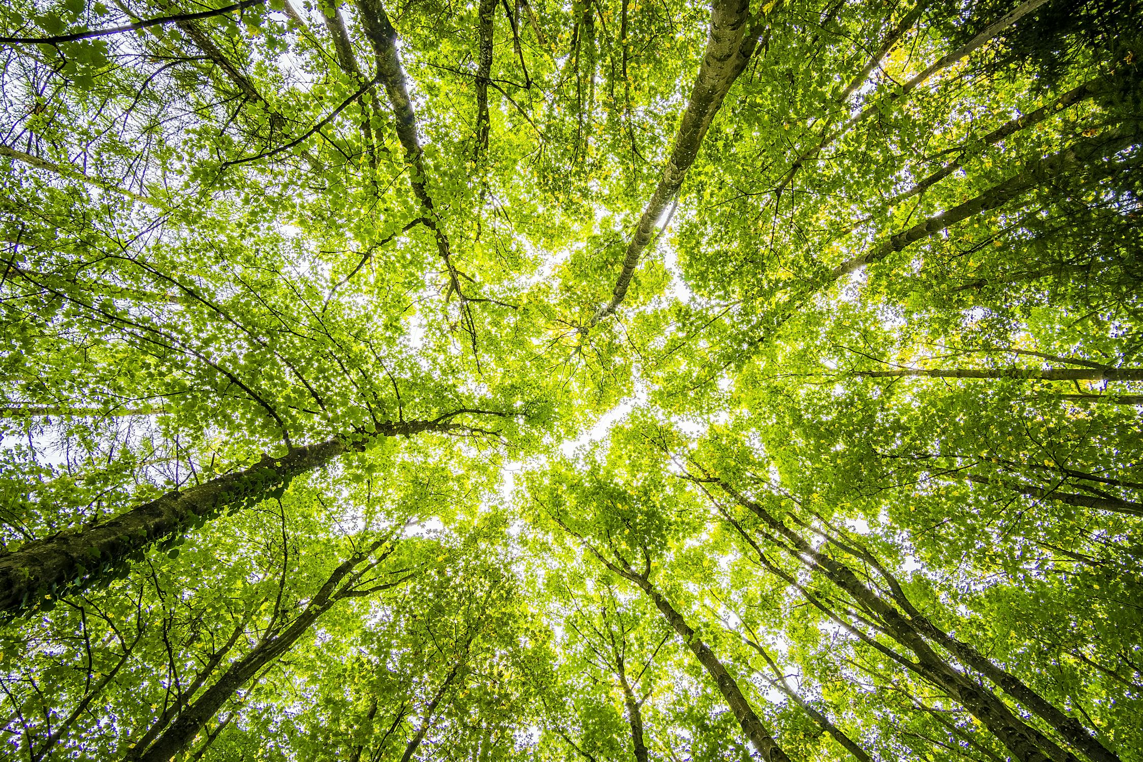 Curso Monitor Medio Ambiente y Gestión Ambiental y Actividades Deportivas