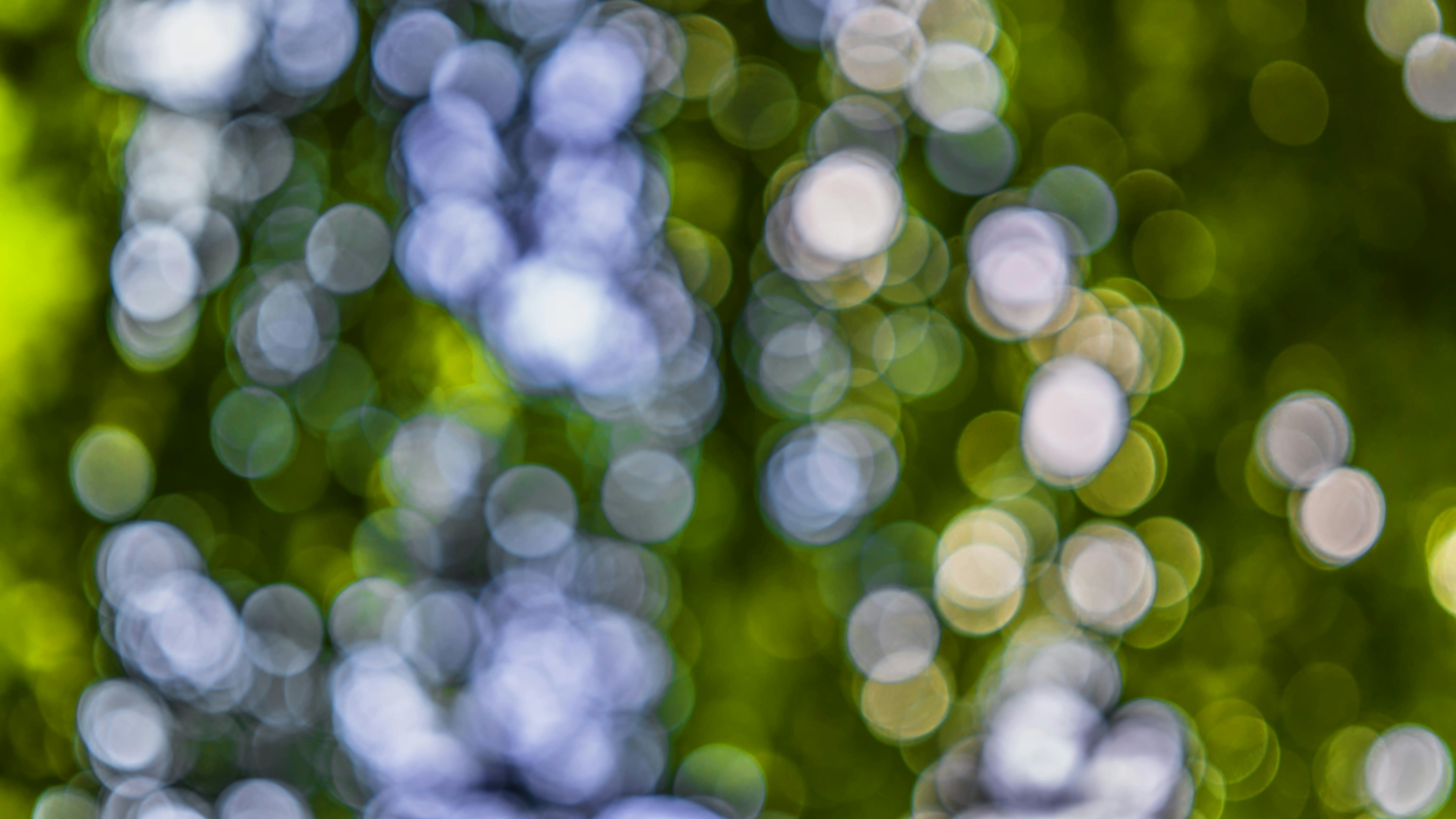 Tuyệt đẹp Bokeh background blur Tạo hiệu ứng mờ chuyên nghiệp