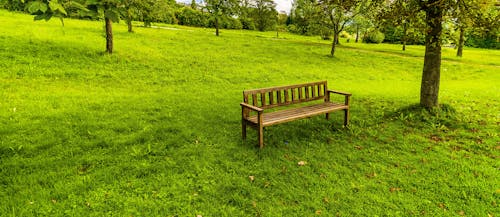 Free stock photo of bank, beautiful, bench