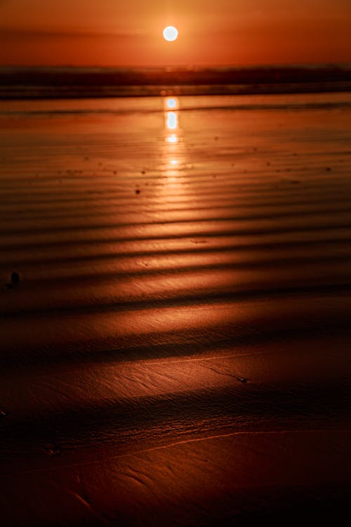 Ocean View During Sunset