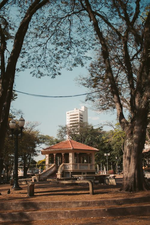 Free A serene urban park with a gazebo framed by large trees and a tall building in the background. Stock Photo