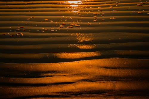 Бесплатное стоковое фото с крупный план, лето, отражение воды