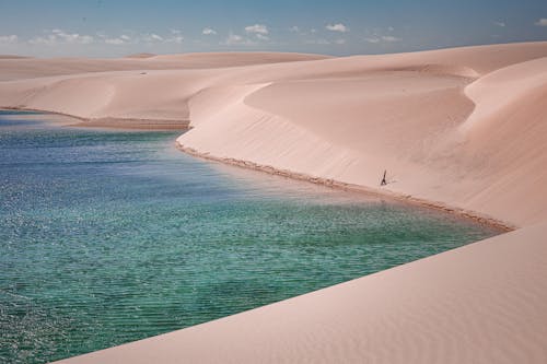 Brown Sand Beach Under the Blue Sky