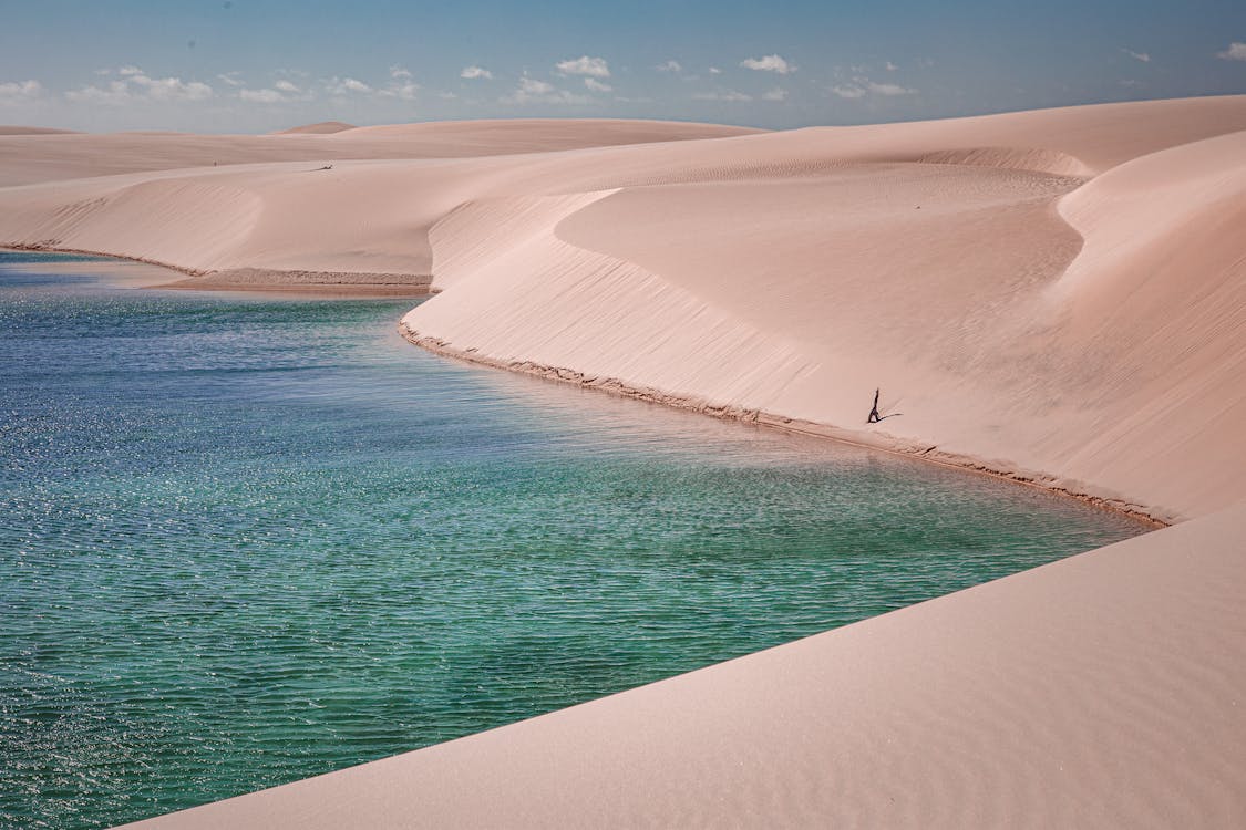 Brown Sand Beach Under the Blue Sky