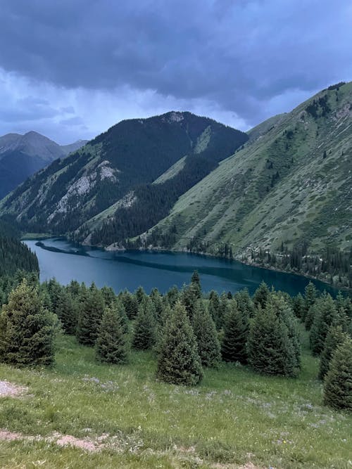 Foto profissional grátis de árvores verdes, cênico, céu nublado