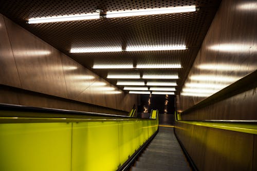 Foto stok gratis bawah tanah, diterangi, eskalator