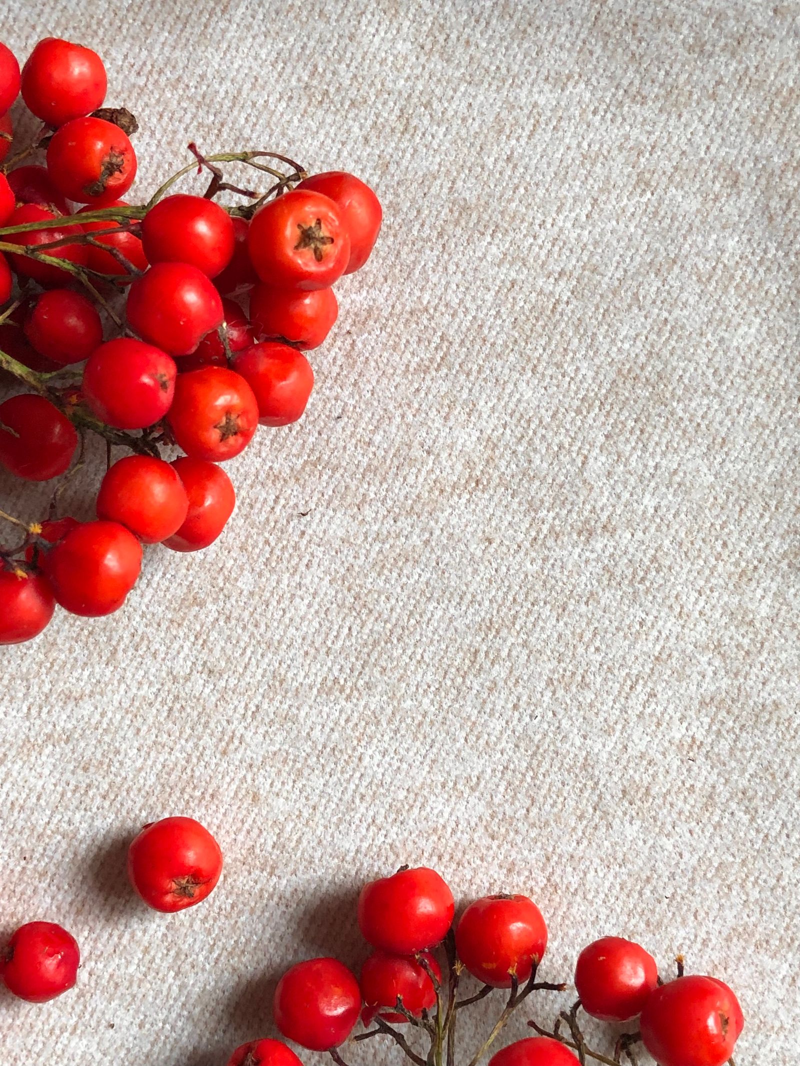 Herzstärkende Pflanzen Pinterest-Pin: rote Weißdornfrüchte für den Herzwein zum Merken