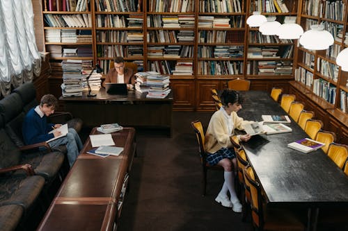 Free Students Studying in the Library Stock Photo