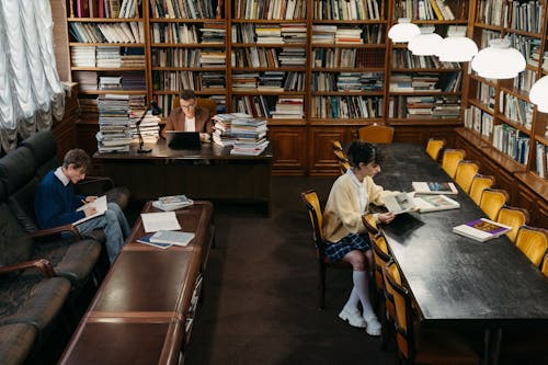 Students Studying in the Library