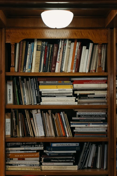 Books on a Wooden Bookshelf