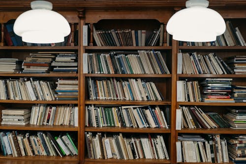 Gratis stockfoto met bibliotheek, boeken, boekenkasten