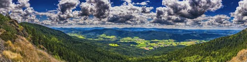 Free stock photo of atmospheric, bavaria, bavarian forest