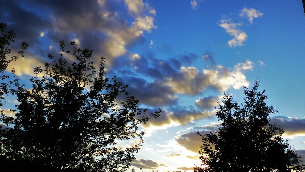 Concert crowd with bright lights and a performer on stage in the distance