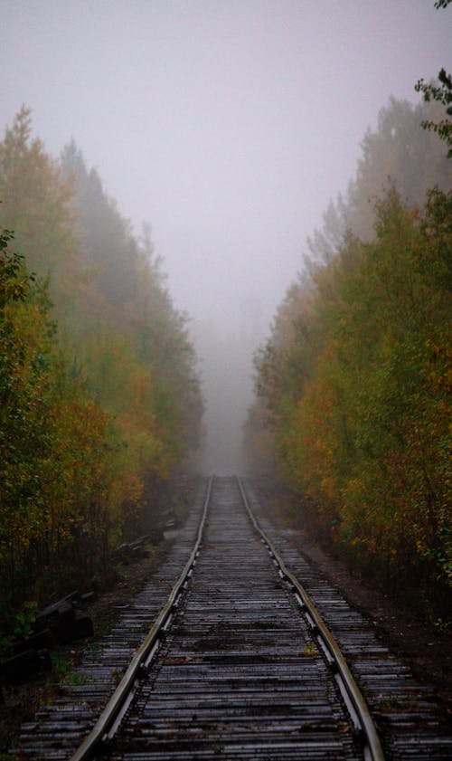 Ilmainen kuvapankkikuva tunnisteilla junanrata, kapea, luonto