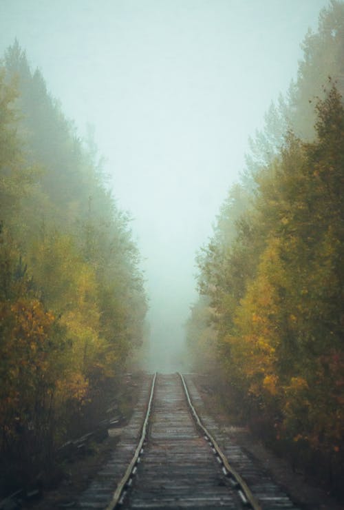 Ilmainen kuvapankkikuva tunnisteilla junanrata, kapea, luonto