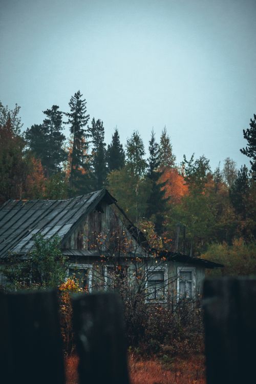 Free A quaint rustic cabin amidst vibrant autumn foliage and towering trees. Stock Photo