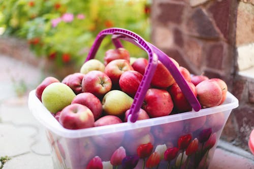 Apples and Pears on a Plastic Basket