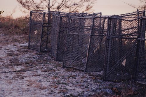 Free Rustic fishing cages left abandoned on a rocky shoreline during dusk in winter, capturing solitude. Stock Photo
