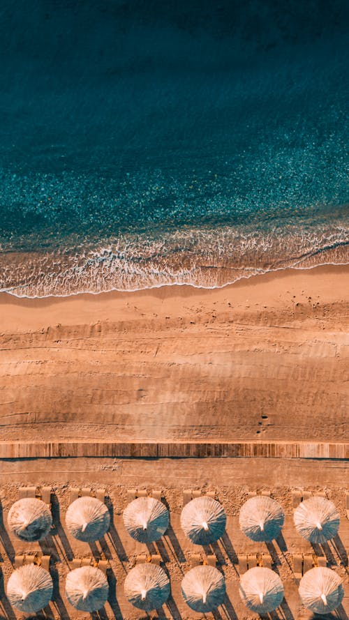 Beach Umbrellas on Beach