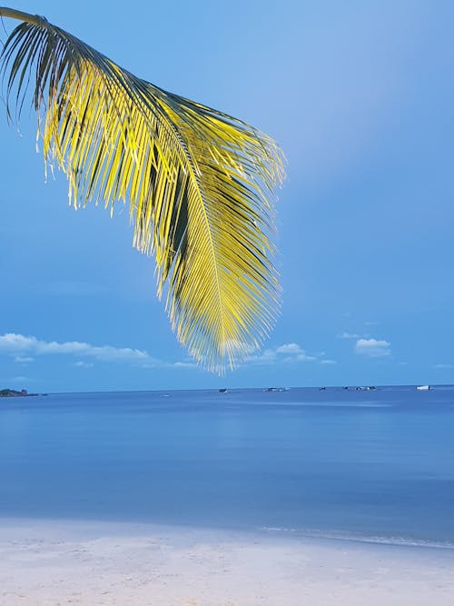 Foto profissional grátis de água, céu azul, costa