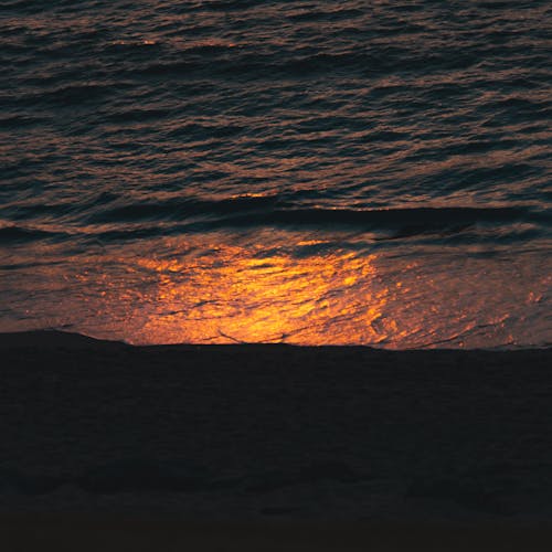 Sunlight Reflected in Water