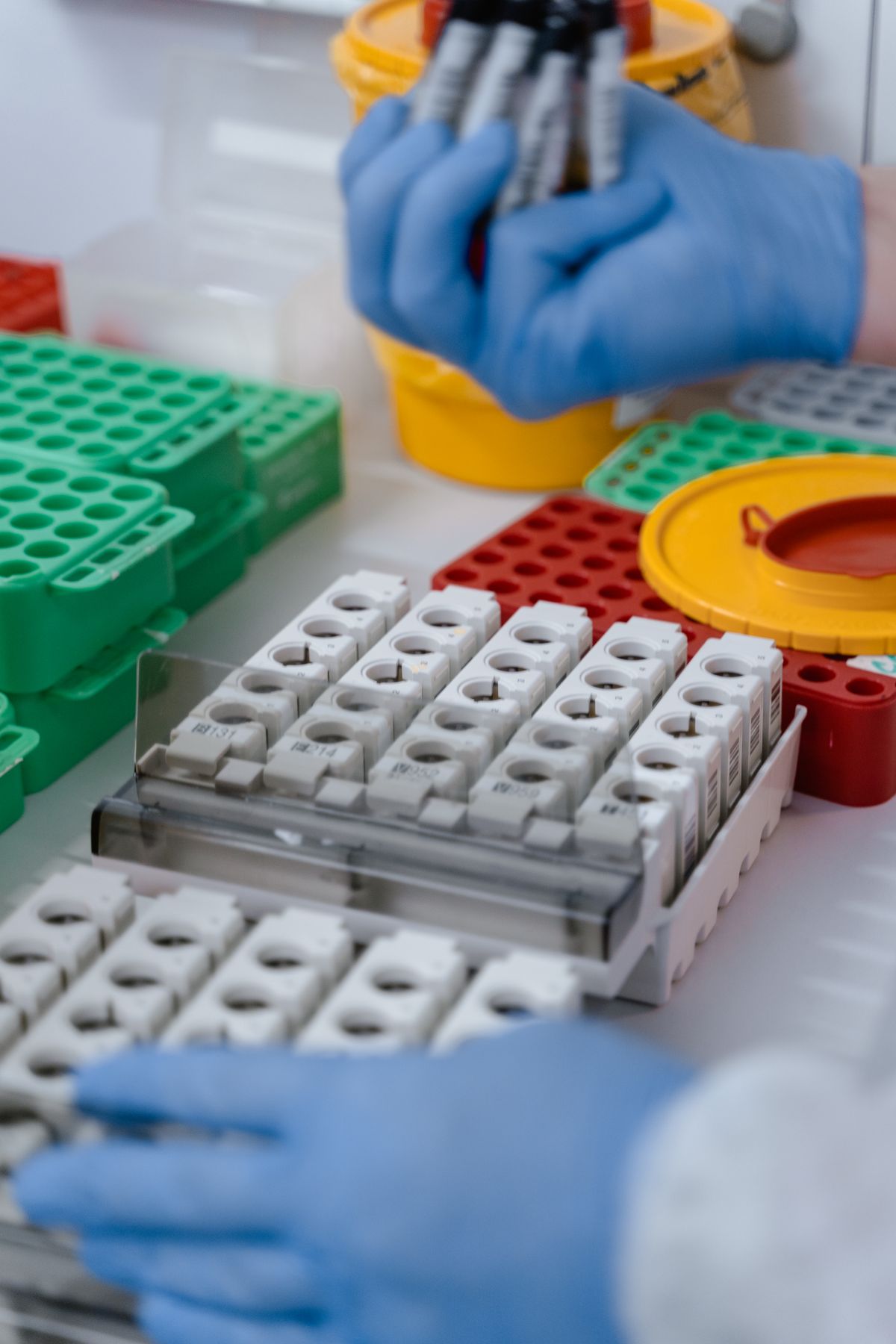 Muestras de laboratorio y control clínico