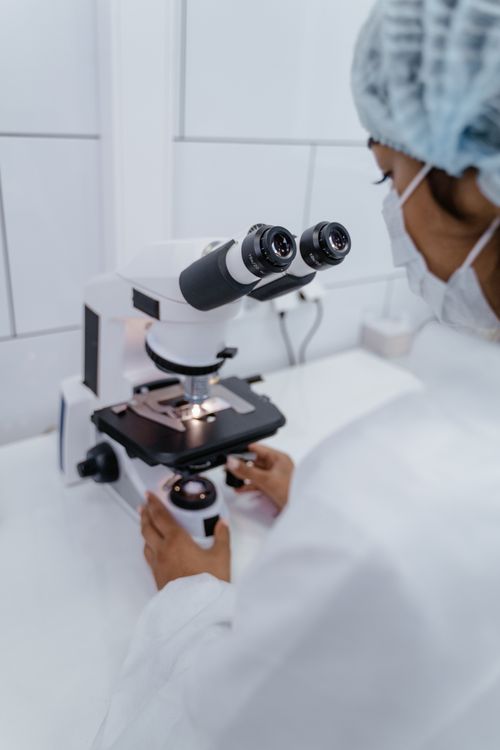 Free Medical professional adjusting a microscope in a laboratory setting. Stock Photo