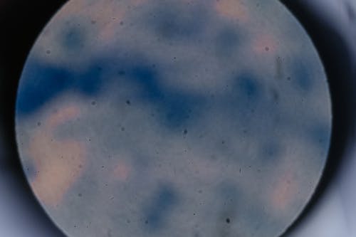 Free stock photo of analysis, astronomy, bacteria