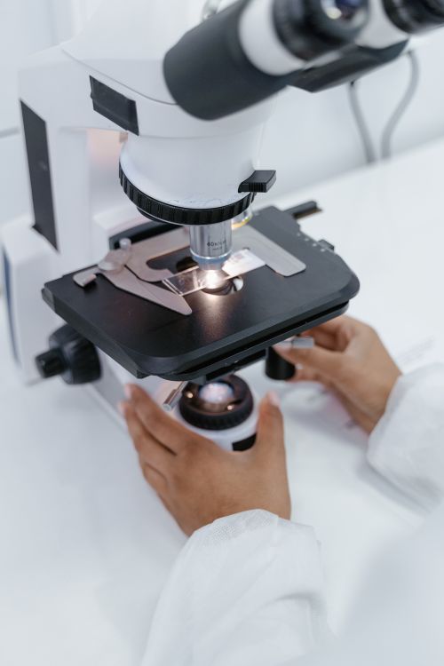 Hand Using Microscope Png A Person Using a Microscope · Free Stock Photo