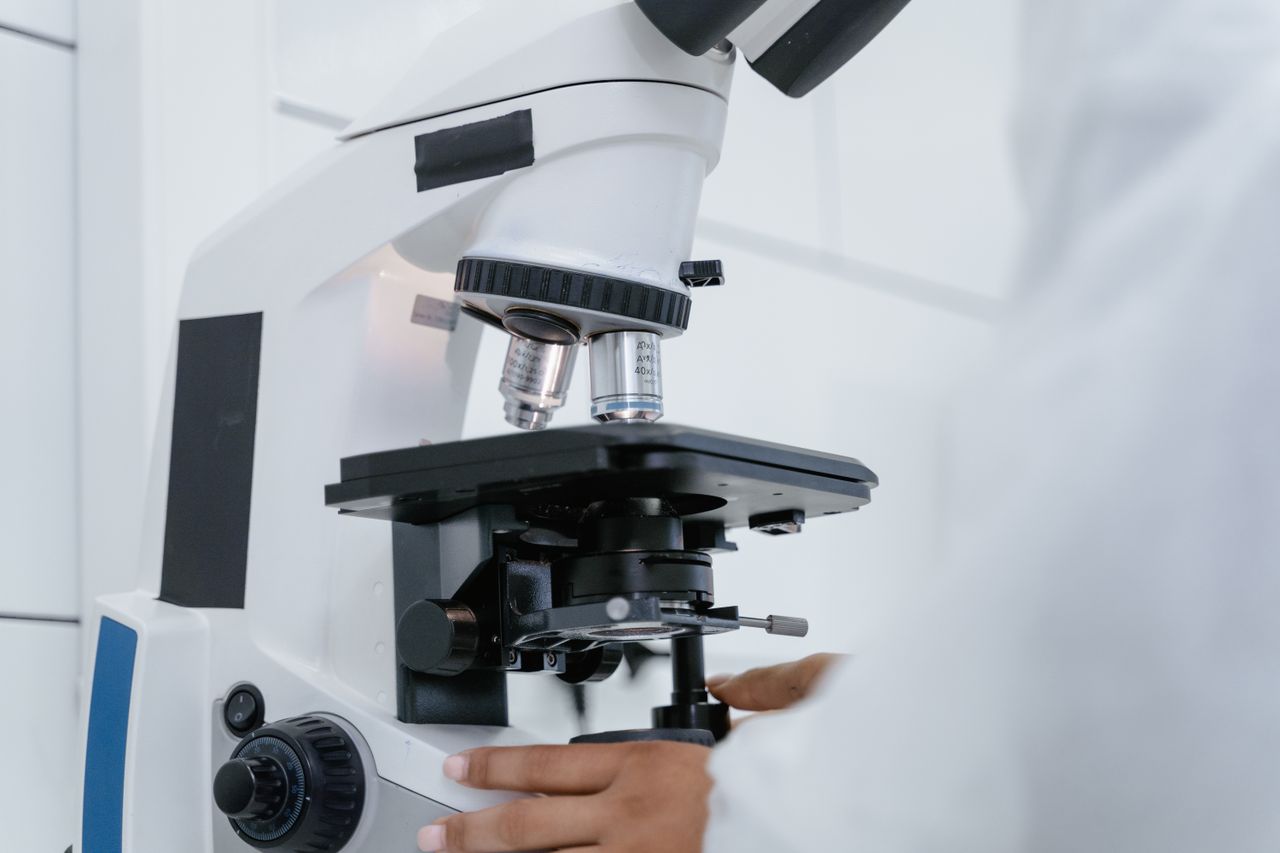 New Research Examines Link Between Protein Intake and Healthy Aging